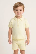 5248-lemon.jpg